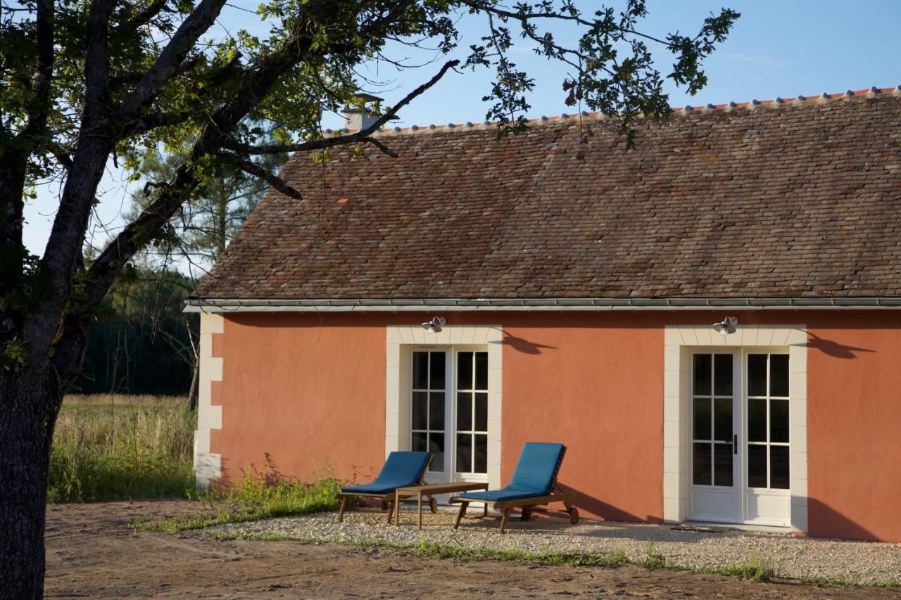 Domaine De La Trigaliere Villa Ambillou Buitenkant foto